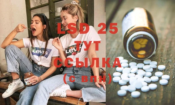 PSILOCYBIN Абаза